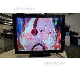 26inch 4:3 ratio LCD Monitor with digital art