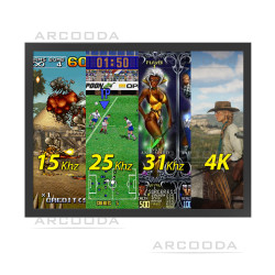 35inch 4:3 Monitor - Supported Frequencies